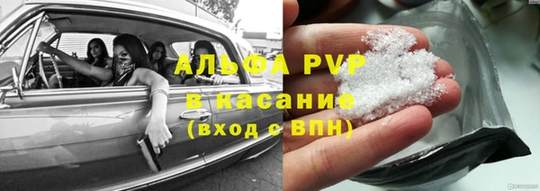 хмурый Алексин