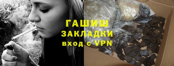 хмурый Алексин