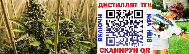 хочу Архангельск ТГК жижа