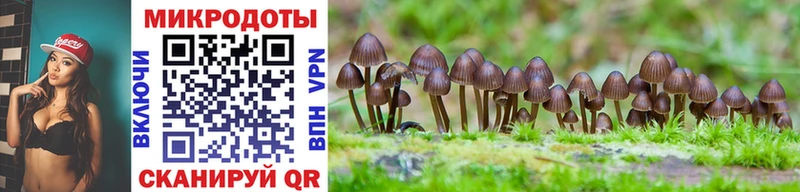 Псилоцибиновые грибы MAGIC MUSHROOMS Архангельск